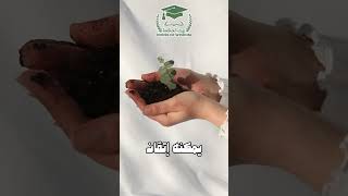 الإنسان الذي يمكنه إتقان الصبر يمكنه إتقان أي شئ آخر #الصبر