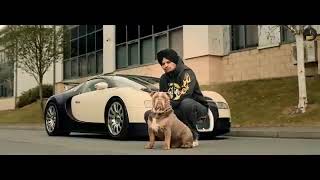 Brown Shortie Official video Status | Brown Shortie Status | Sidhu moosewala new song status