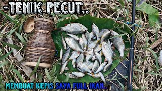 REJEKI❗Dapet Banyak Ikan Gurih Mancing Pakai Tehnik Ini (micro fishing)