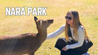 I GOT BIT IN NARA DEER PARK JAPAN - JAPAN VLOG