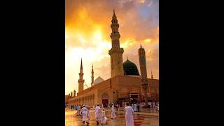 Mashallah so beautiful 😍❤️ video #trending #trending #💕💞💕💕💞💞💞💞💕💕💕❤️❤️❤️❤️❤️❤️❤️😍😍😍😍😍😍😍😍😍😍😍😍😍😍😍😍😍😍😍😍