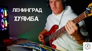 Ленинград - Хуямба | Bass cover