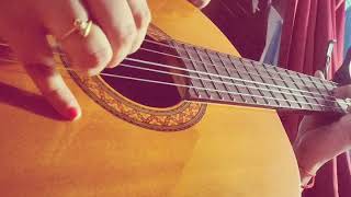 Starry Starry Night- Don McLean- Classical guitar 1 minute versions