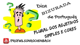 Dica Bizurada (Plural dos Adjetivos Simples e Cores) - 18