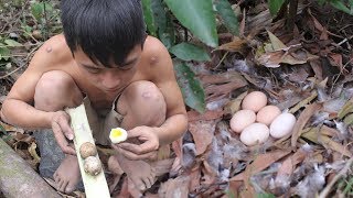 Primitive Life: Roasted Egg - Find Food In Wild