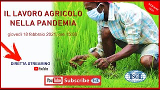 Il lavoro agricolo nella pandemia