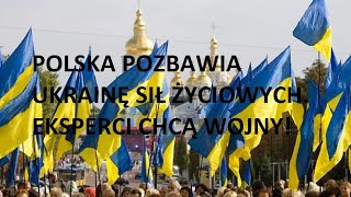 Polska pogrąża Ukrainę. Eksperci chcą wojny!