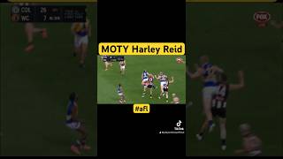 MOTY Harley Reid #pieseagles #afl #2024 #moty