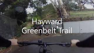 Trek Marlin 5 - Hayward Greenbelt / Hayward Plunge Trail - MTB