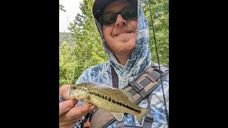 Fishing in a public pond and creek in Northeast Tennessee