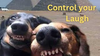 Control your Laugh #funny #laughing