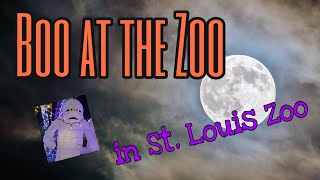 St. Louis Zoo:  Boo at the Zoo (2020)