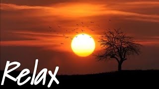 موسيقى هادئة RELAXING MUSIC