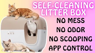 PetSnowy for Odor-Free Pet Scooping! PETSNOWYSNOW⁺ SELF-CLEANING LITTER BOX Pet Snowy Review