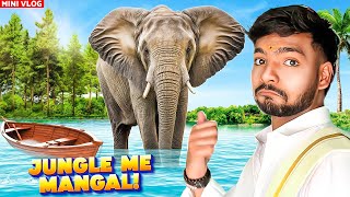 Mini Vlog | Jungle Me Mangal😂🤣 || Ankush Kumar