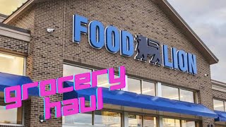 FOOD LION Grocery Haul  | June 2022 #groceryhaul