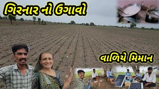 ગિરનાર નો ઉગાવો || વાળીયે મિમાન || Village life