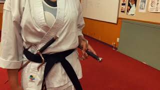 Kobudo Revision