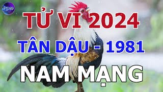 Tử Vi Nam Mạng Tân Dậu 1981 Trong Năm 2024 | Phong Thủy Hoàng Đạo