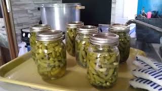 Aug 31, 2024 canning green beans