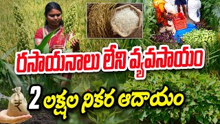 ప్రకృతి సాగు.. ఏడాదంతా పంటలు | మహిళా రైతు Success Story | Ramanamma