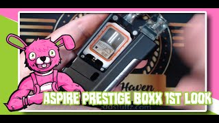 Aspire BOXX Boro Mod 1st Look