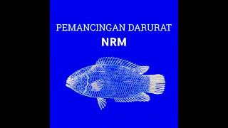 DARURAT MANCING