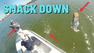 Galveston Bay Smack down feat. MDLR FISHING