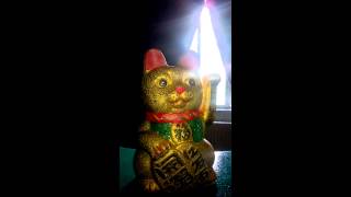 Maneki Dream - Intervista a Maneki