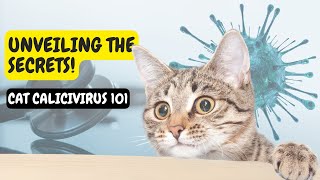 Unveiling the Secrets: Cat Calci Virus 101