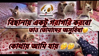 বিছানায় একটু গরাগরি করবো তাও মায়ের জন্য হবে না 😔😔