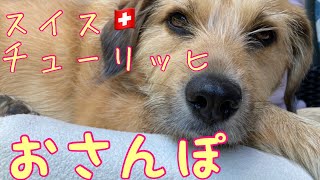 スイス田舎暮らしのNala、チューリッヒへいく！