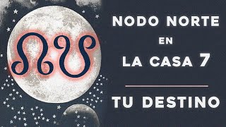 Nodo Norte en la Casa 7, Nodo Sur en la Casa 12 - Astrología Evolutiva