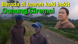 Jalan jalan sore di sebuah tegalan sawah II Kaki bukit Gunung Ciremai