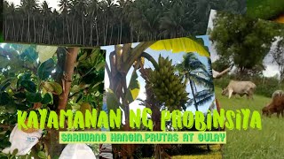 BUHAY PROBINSYA/KAYAMANAN SA PROBINSYA/PROUD PROBINSYANA