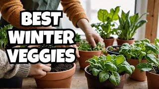 Growing Vegetables in an Apartment (Winter Indoor Gardening)