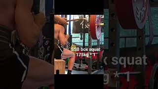 Nikos Kalivas #squat #powerlifting #fitness #power #sports #gym #bodybuilding #shorts #youtube