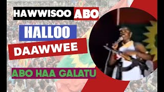 Halloo Daawwee Music | Hawwisoo ABO | ABO'n Haa Latu | New Oromo Music HD | Sirba Qabsoo