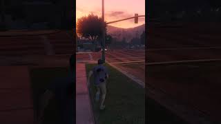 Police PTSD (GTA5)