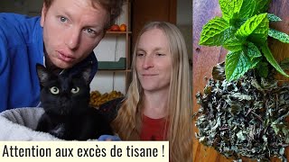 Paul a eu de l'hypertension artérielle à cause d'une tisane