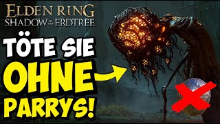 TÖTE SIE OHNE PARRYS! Wie du die UNBERÜHRBAREN WINTERLATERNEN aus dem DLC ALTERNATIV KILLEN KANNST!