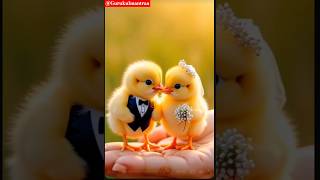 #cuteanimals #music #love #song #hindisong  #trending #musicgenre #youtubeshorts #whatsappstatus