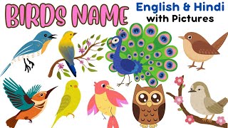 20 Birds Name in Hindi & English🦆पक्षियों के नाम🌟birds name #birds #kids @FooFooTvKids