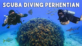 Is this Malaysia's most underrated diving spot?! 📍Perhentian Islands (a beginner-friendly dive spot)