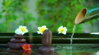 dreaming relaxing zen music with🎋 bamboo water sounds#relaxing #relaxingmusic #watersouds