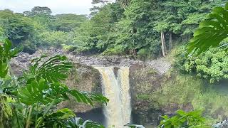 DR GODZILLA Visits RAINFOREST in Hawaii