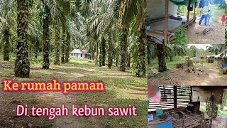 Berkunjung ke rumah paman di tengah kebun sawit