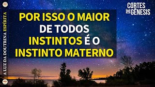 200 - O MAIOR DE TODOS INSTINTOS É O INSTINTO MATERNO