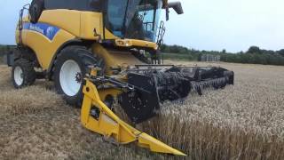 Landbouwhaspengouw- New Holland CX8050 tarwe dorsen (Nulens)