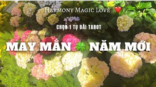 #Tarot 🍀 MAY MẮN NÀO TRONG NĂM MỚI CỦA BẠN 🥰🌸 #harmonymagiclove #thôngđiệpvũtrụ